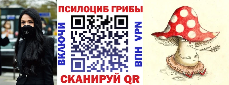 где купить   Солнечногорск  Псилоцибиновые грибы Psilocybe 